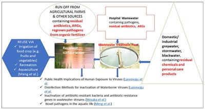 Editorial: Emerging pathogens and contaminants in water matrices: human health risks, exposure pathways and epidemiological outcomes
